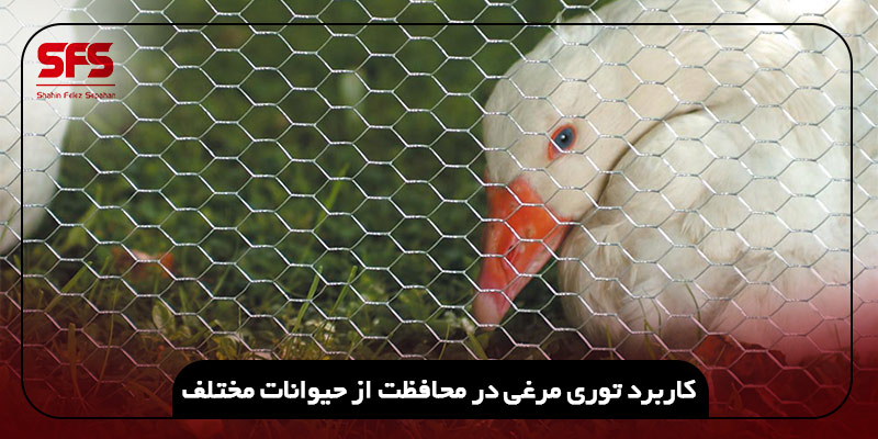 کاربرد توری مرغی در محافظت از حیوانات مختلف